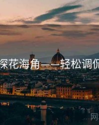 国产探花海角——轻松调侃专栏