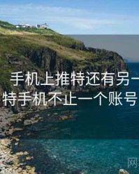 没想到！手机上推特还有另一面，推特手机不止一个账号