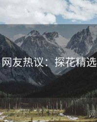 网友热议：探花精选