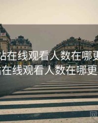 免费网站在线观看人数在哪更新，免费网站在线观看人数在哪更新动漫