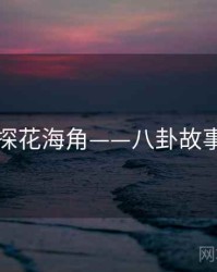 国产探花海角——八卦故事特辑