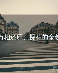 真相还原：探花的全貌