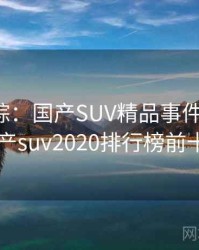 深度追踪：国产SUV精品事件全记录，国产suv2020排行榜前十名