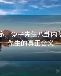 独家揭秘：兔子先生八卦内幕，兔子先生的真正含义