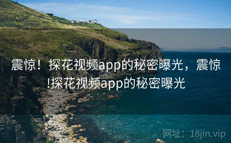 震惊！探花视频app的秘密曝光，震惊!探花视频app的秘密曝光